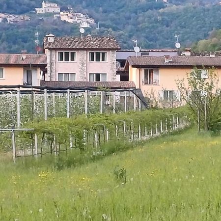 Cascina Legnago Bilocale A 6 Chilometri Da Salo' Apartment Villanuova sul clisi Ngoại thất bức ảnh
