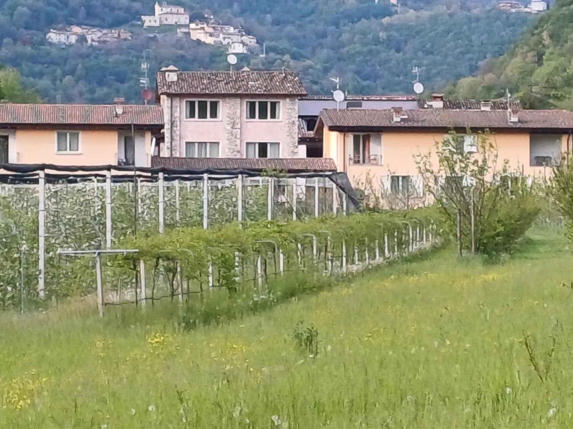 Cascina Legnago Bilocale A 6 Chilometri Da Salo' Apartment Villanuova sul clisi Ngoại thất bức ảnh