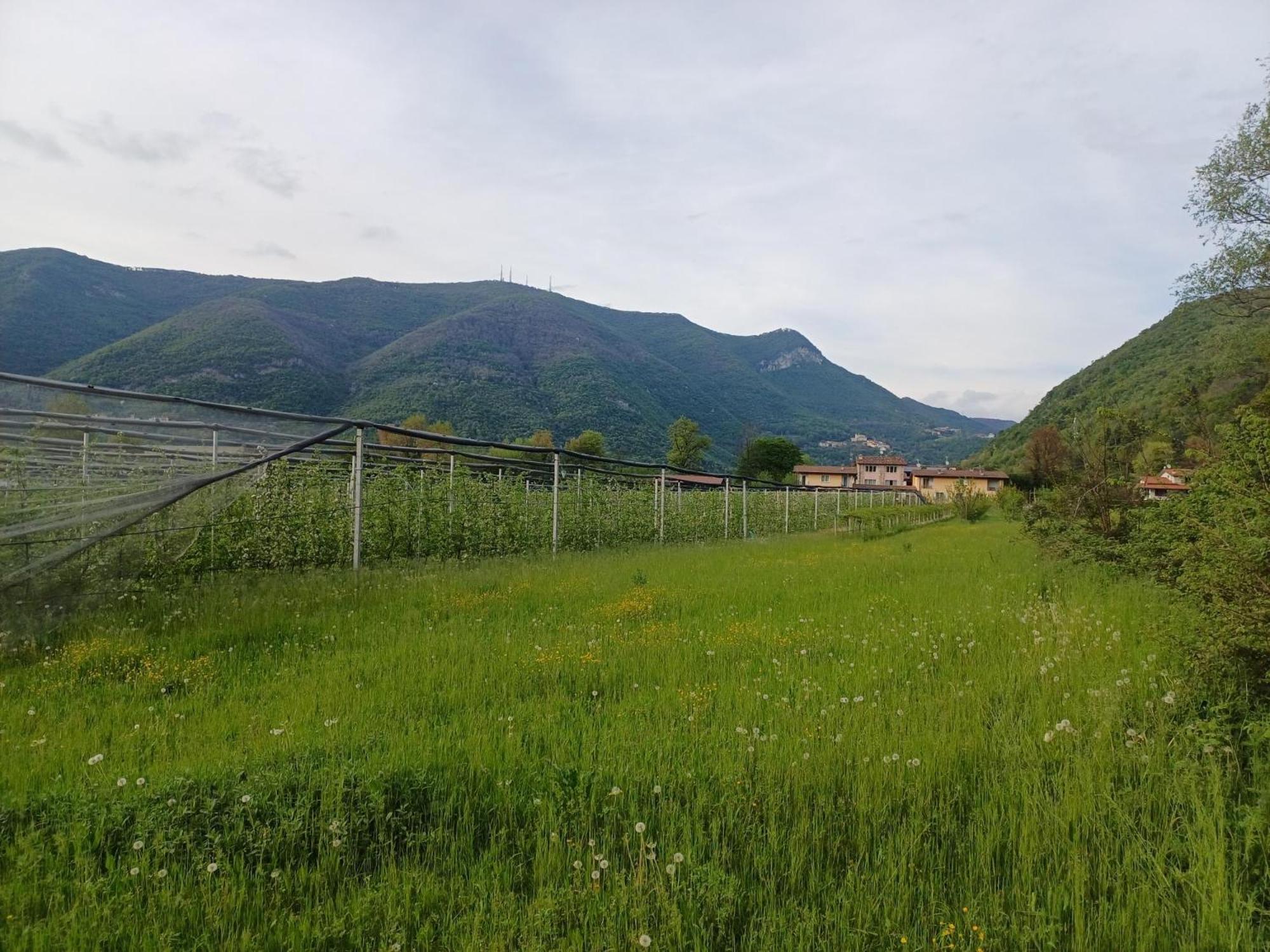 Cascina Legnago Bilocale A 6 Chilometri Da Salo' Apartment Villanuova sul clisi Ngoại thất bức ảnh