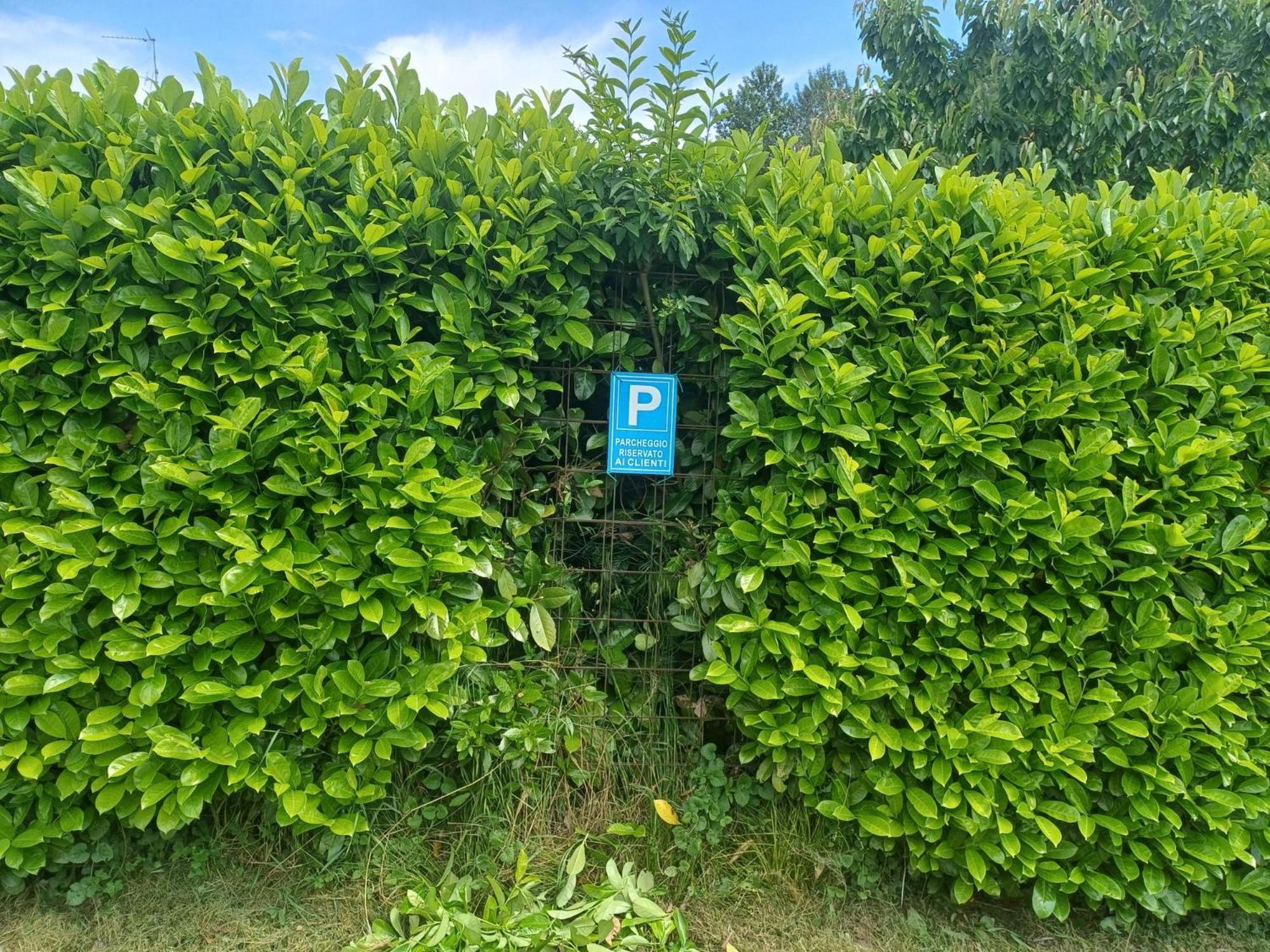 Cascina Legnago Bilocale A 6 Chilometri Da Salo' Apartment Villanuova sul clisi Ngoại thất bức ảnh