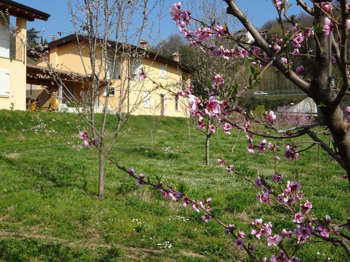 Cascina Legnago Bilocale A 6 Chilometri Da Salo' Apartment Villanuova sul clisi Ngoại thất bức ảnh